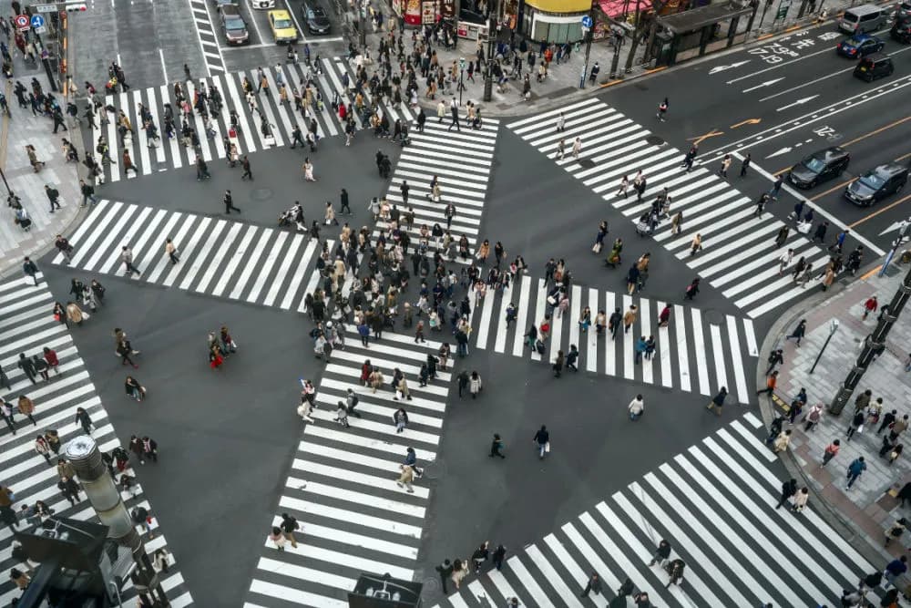 What Are Pedestrian Rules in Georgia?
